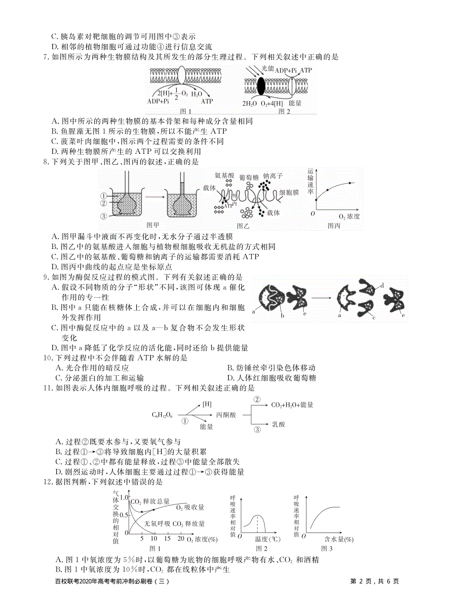 百校联考2020年高考考前冲刺必刷卷（三）生物试题 PDF版含解析.pdf_第2页