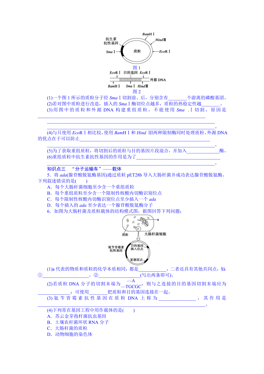 《学案导学与随堂笔记》苏教版生物选修三全套备课精选同步练习：1.1.1基因工程的诞生、发展和工具.doc_第3页