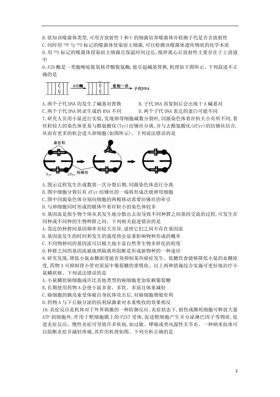 河北省唐山市2021届高三生物下学期普通高等学校模拟考试试题.doc_第2页