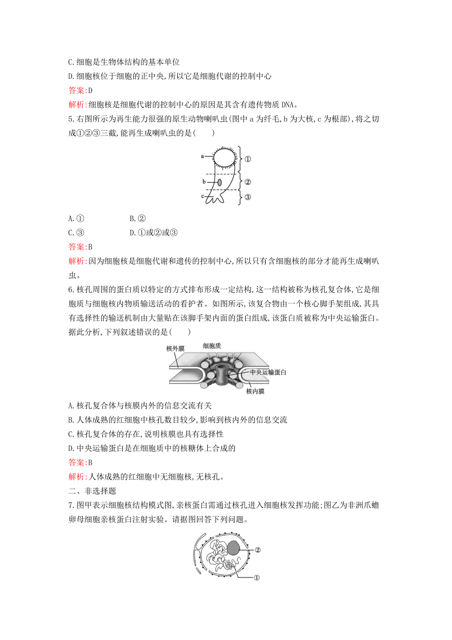 新教材高中生物 第3章 细胞的基本结构 第3节 细胞核的结构和功能课后习题 新人教版必修1.docx_第2页