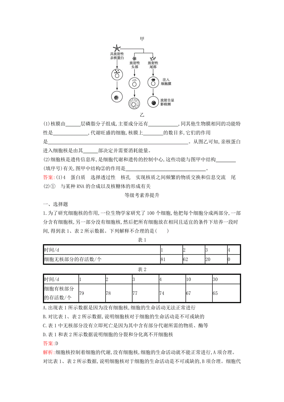 新教材高中生物 第3章 细胞的基本结构 第3节 细胞核的结构和功能课后习题 新人教版必修1.docx_第3页