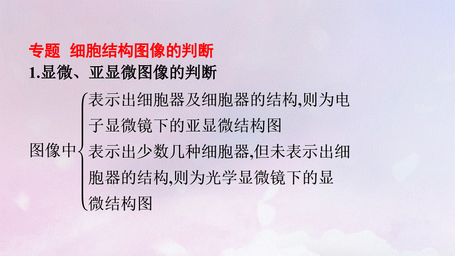 新教材高中生物 第3章 细胞的基本结构章末核心素养整合课件 新人教版必修1.pptx_第3页