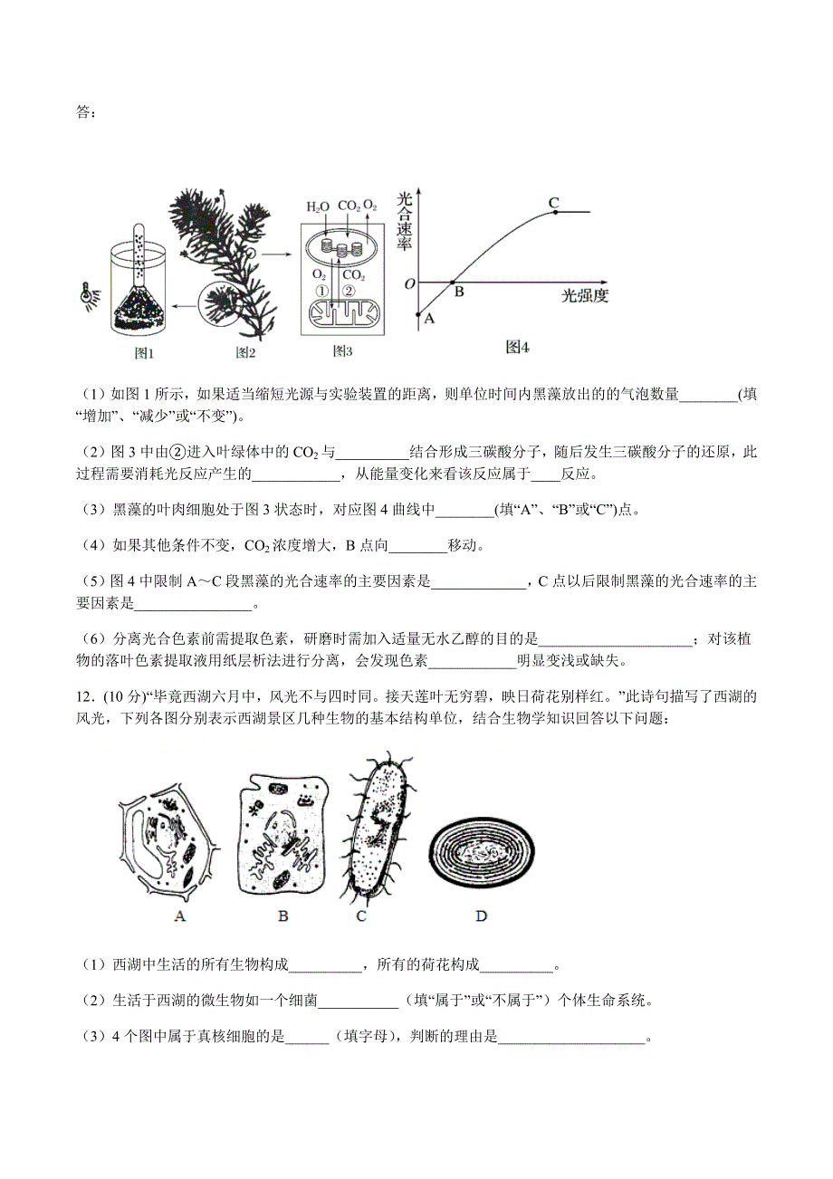 四川省宜宾市第四中学2019-2020学年高一下学期第四学月考试生物试题 WORD版含答案.docx_第3页