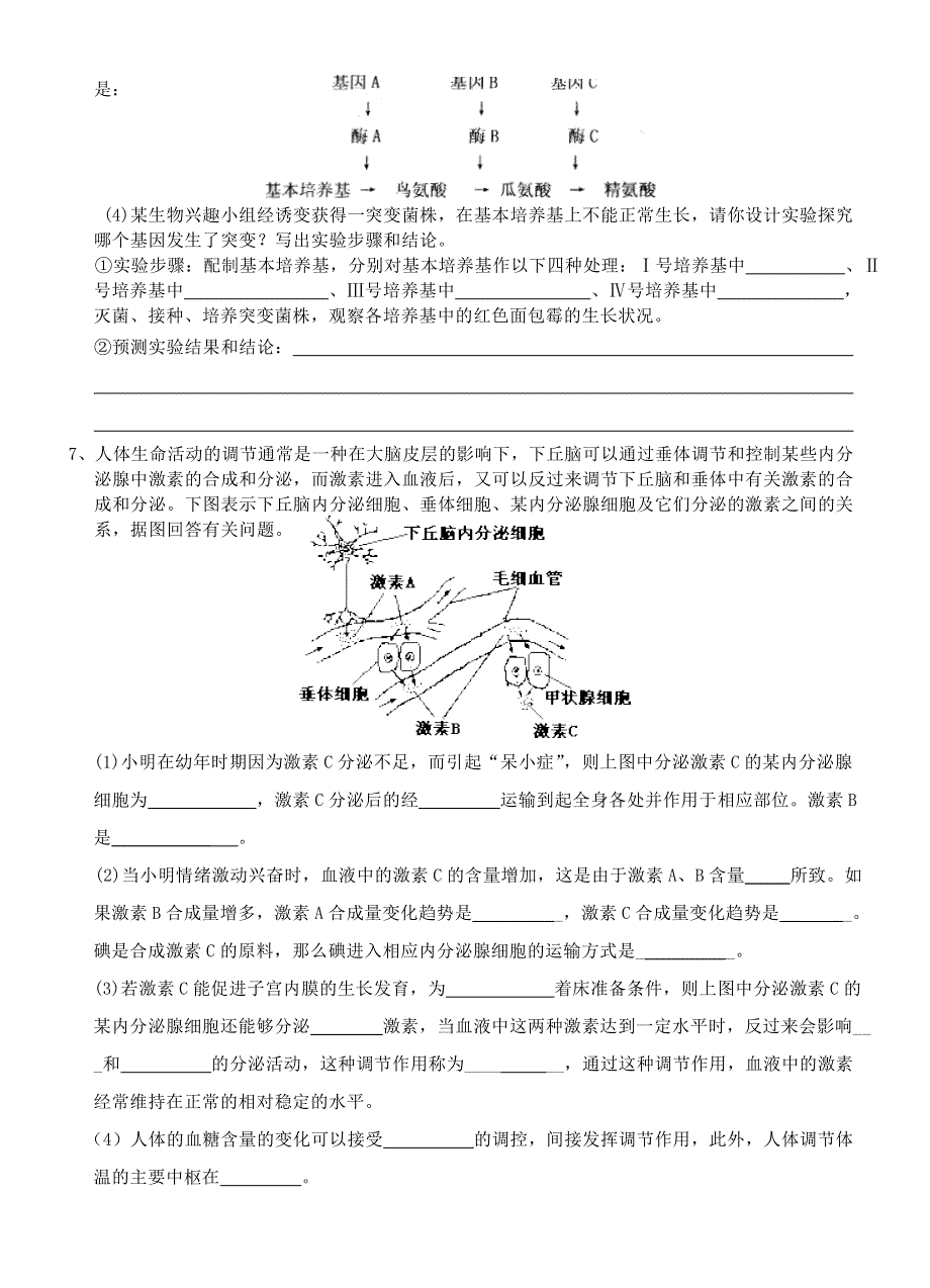 新洲三中2005届理科综合生物试题八.doc_第2页