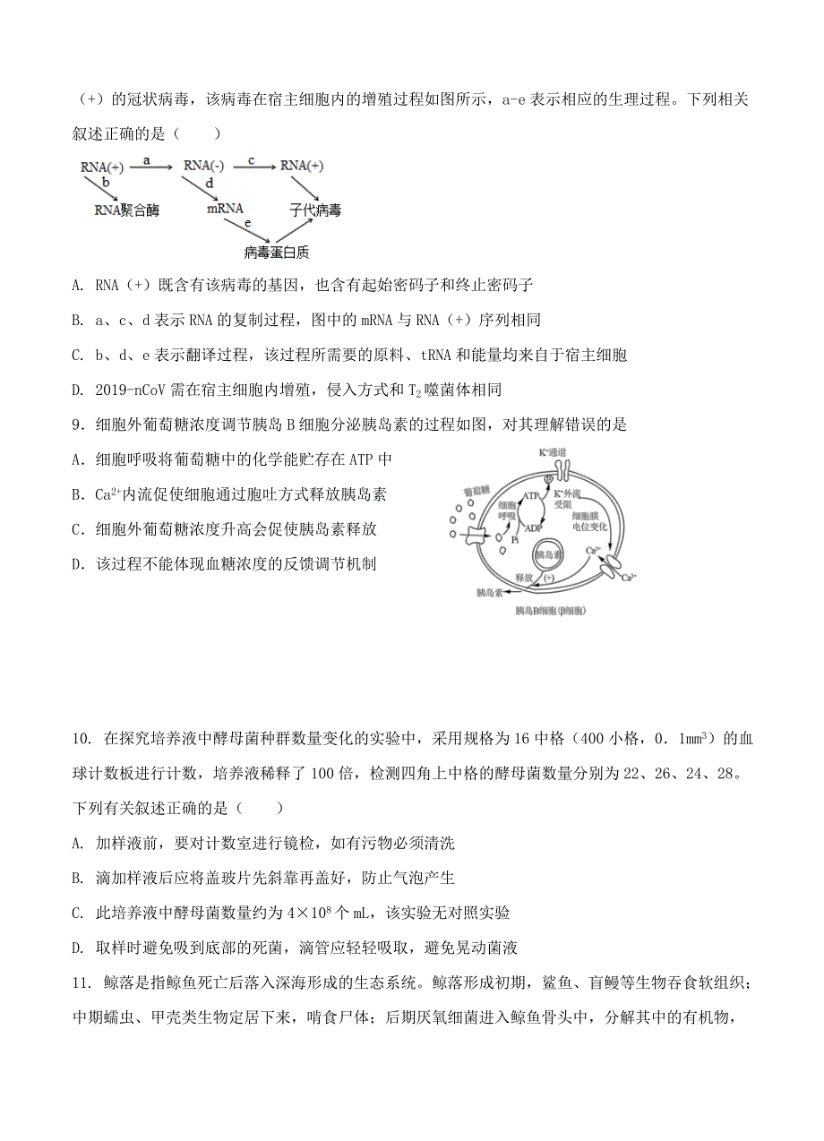 江苏省如皋市2022届高三生物上学期期初测试试题.doc_第3页