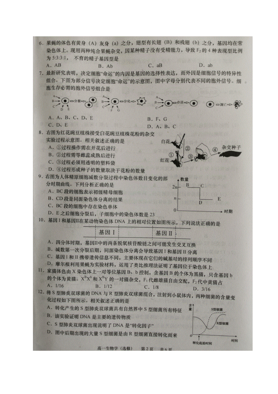 江苏省如皋市2020-2021学年高一生物下学期第一次月考试题（选修）（扫描版）.doc_第2页