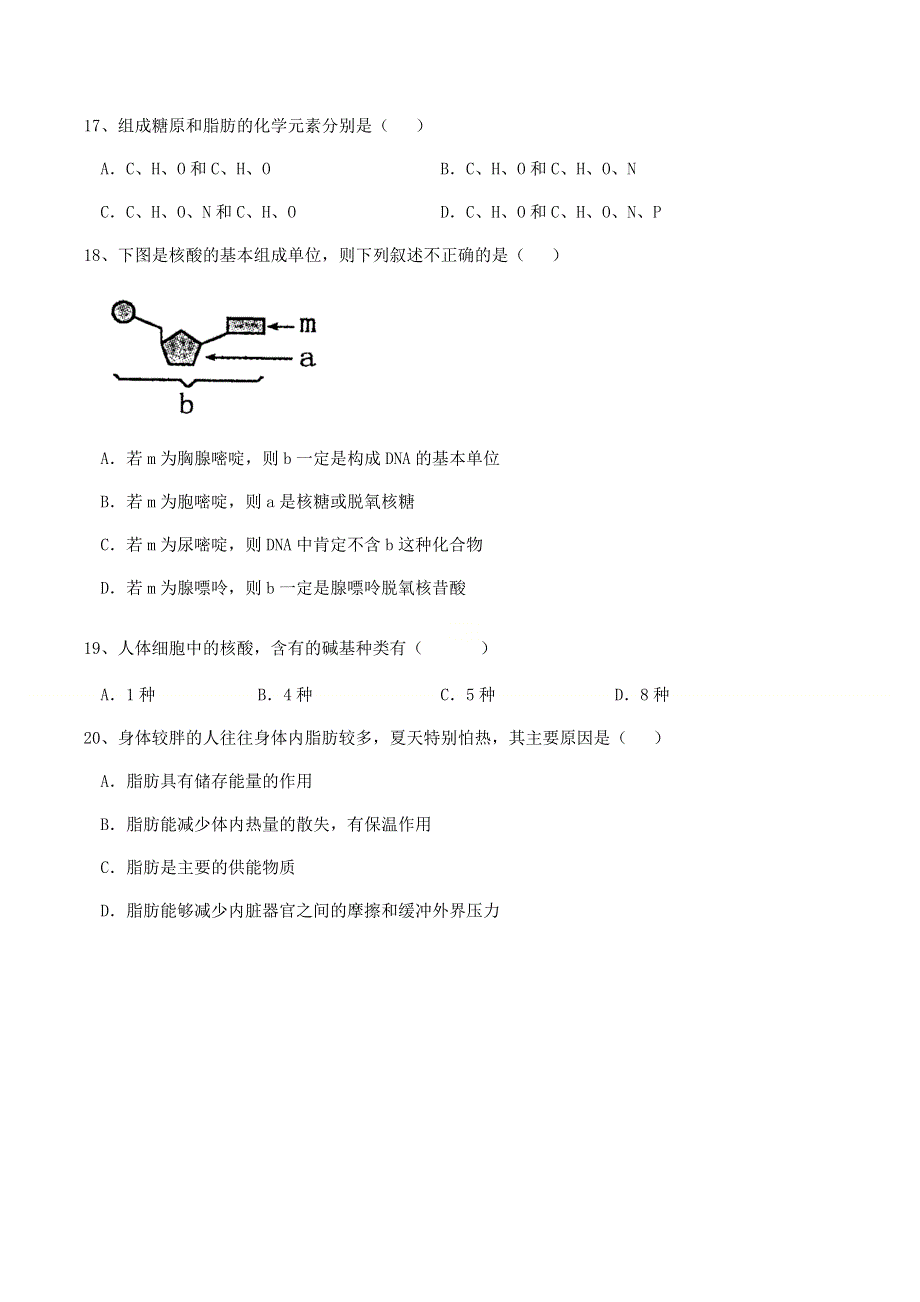 广东省乐昌市第二中学2020-2021学年高一上学期期中考试生物试卷 WORD版含答案.docx_第3页