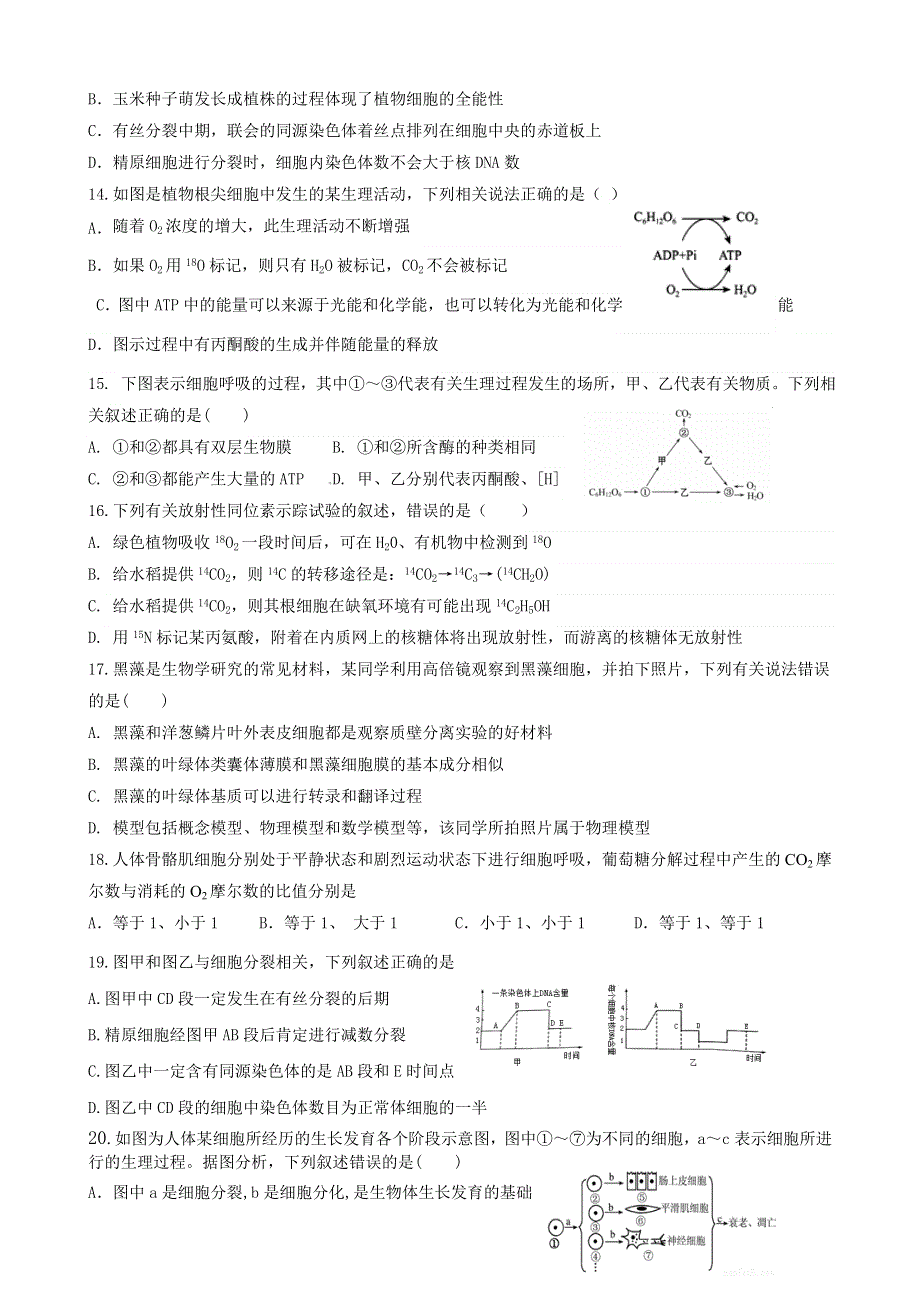 吉林省集安市第一中学2020届高三11月月考生物试题 WORD版含答案.doc_第3页