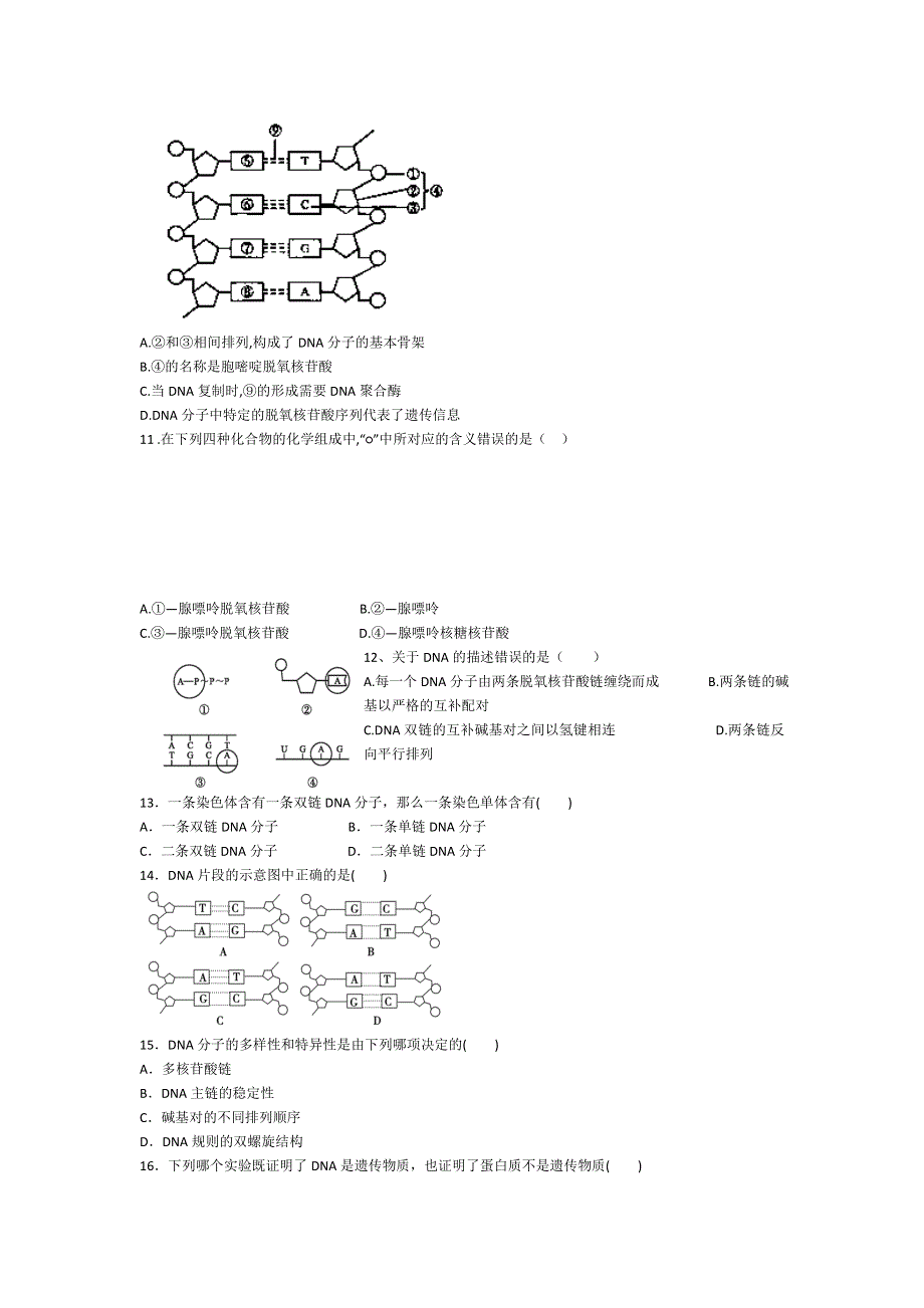 吉林省龙井市三中2012-2013学年高一下学期期中考试生物试题 WORD版含答案.doc_第2页