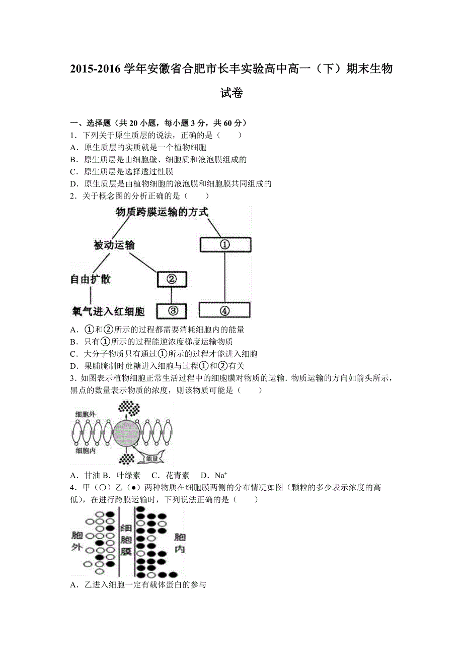 《解析》安徽省合肥市长丰实验高中2015-2016学年高一下学期期末生物试卷 WORD版含解析.doc_第1页