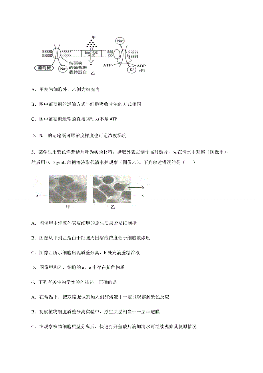 新疆哈密市第八中学2020-2021学年高一上学期期末考试生物试题 WORD版含答案.docx_第2页