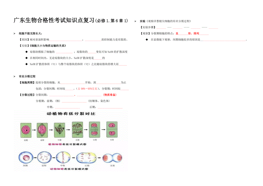 广东省东莞市常平中学广东生物合格性考试复习必修1第6章1 生物 打印版试题含答案.docx_第3页