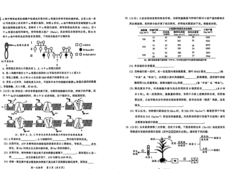 广东省韶关市2021-2022学年高一下学期期末考试 生物 PDF版含答案.pdf_第3页