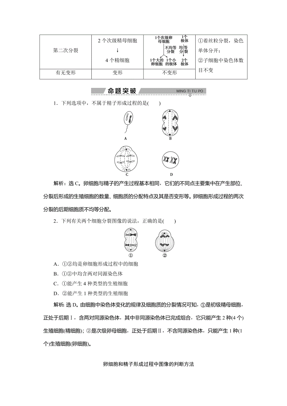 2019-2020学年浙科版生物必修二新素养同步学案：第二章 第一节　第2课时　精子与卵细胞的产生和受精　减数分裂的意义 WORD版含答案.doc_第3页