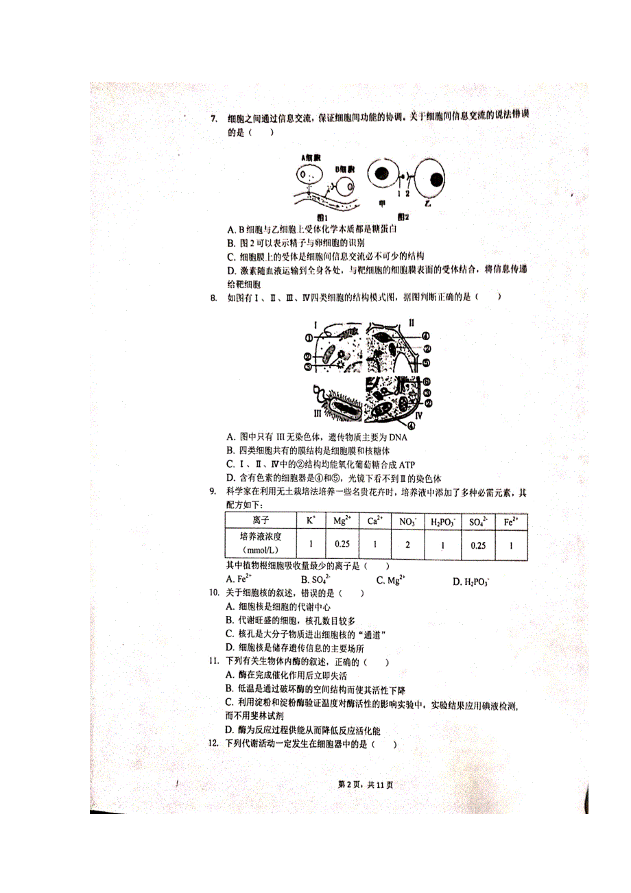 河北省唐山市第一中学2019-2020学年高一上学期期末考试生物试题 扫描版含答案.doc_第2页