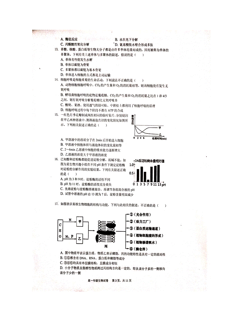 河北省唐山市第一中学2019-2020学年高一上学期期末考试生物试题 扫描版含答案.doc_第3页