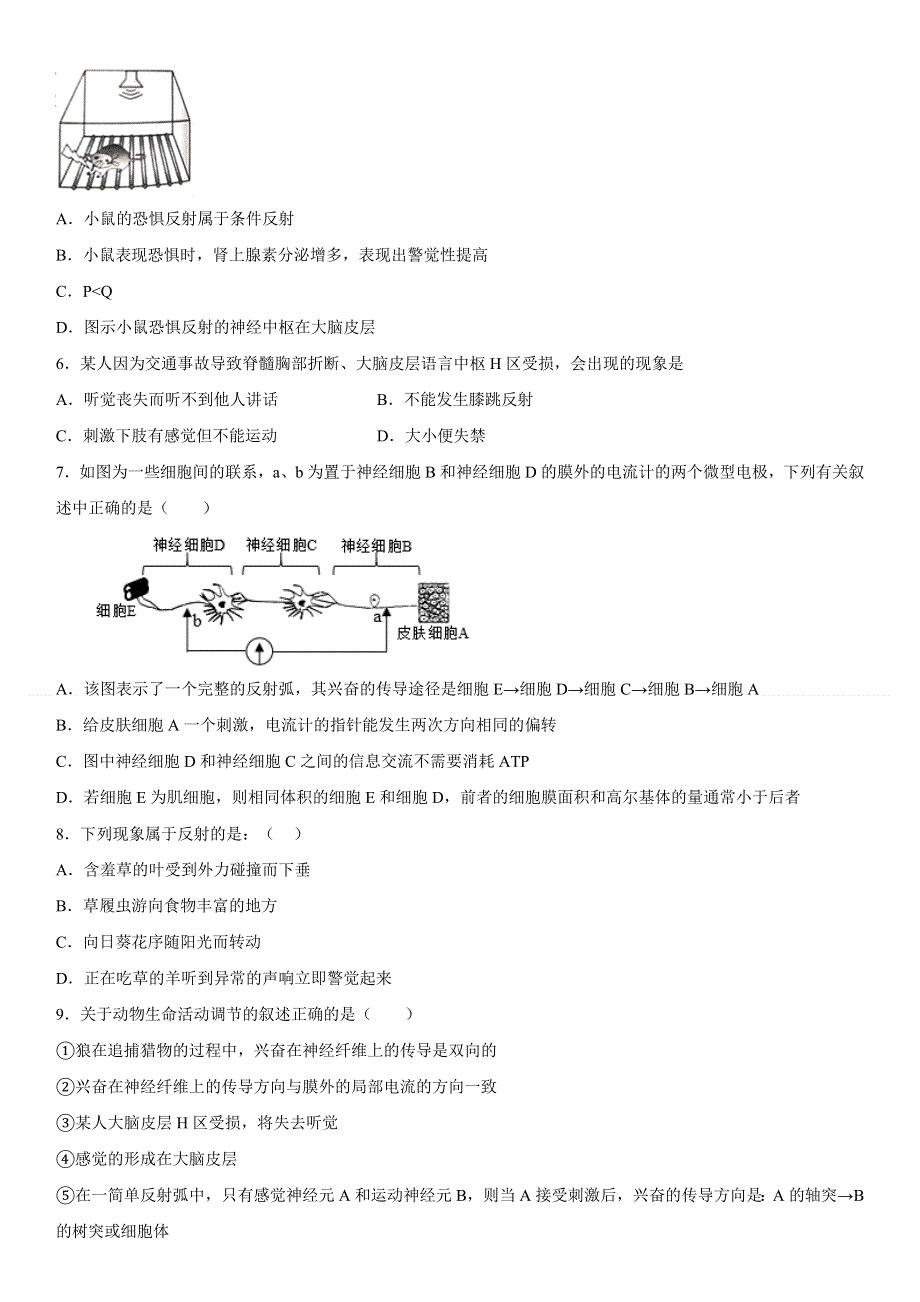 新疆维吾尔自治区和田地区策勒县2022-2023学年高二上学期11月期中考试 生物试题 WORD版含答案.docx_第2页