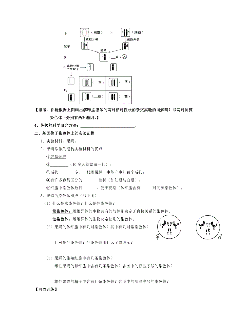 广东省高明实验中学高中生物必修二人教版导学案：第2章 第2节 基因在染色体上（1） .doc_第2页