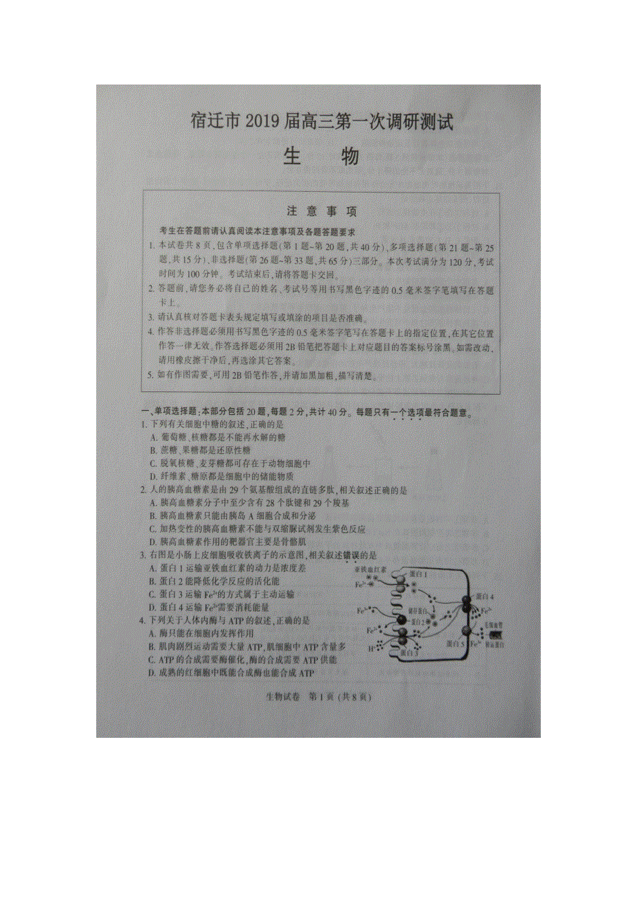 江苏省宿迁市2019届高三第一次调研测试生物试题 扫描版缺答案.doc_第1页