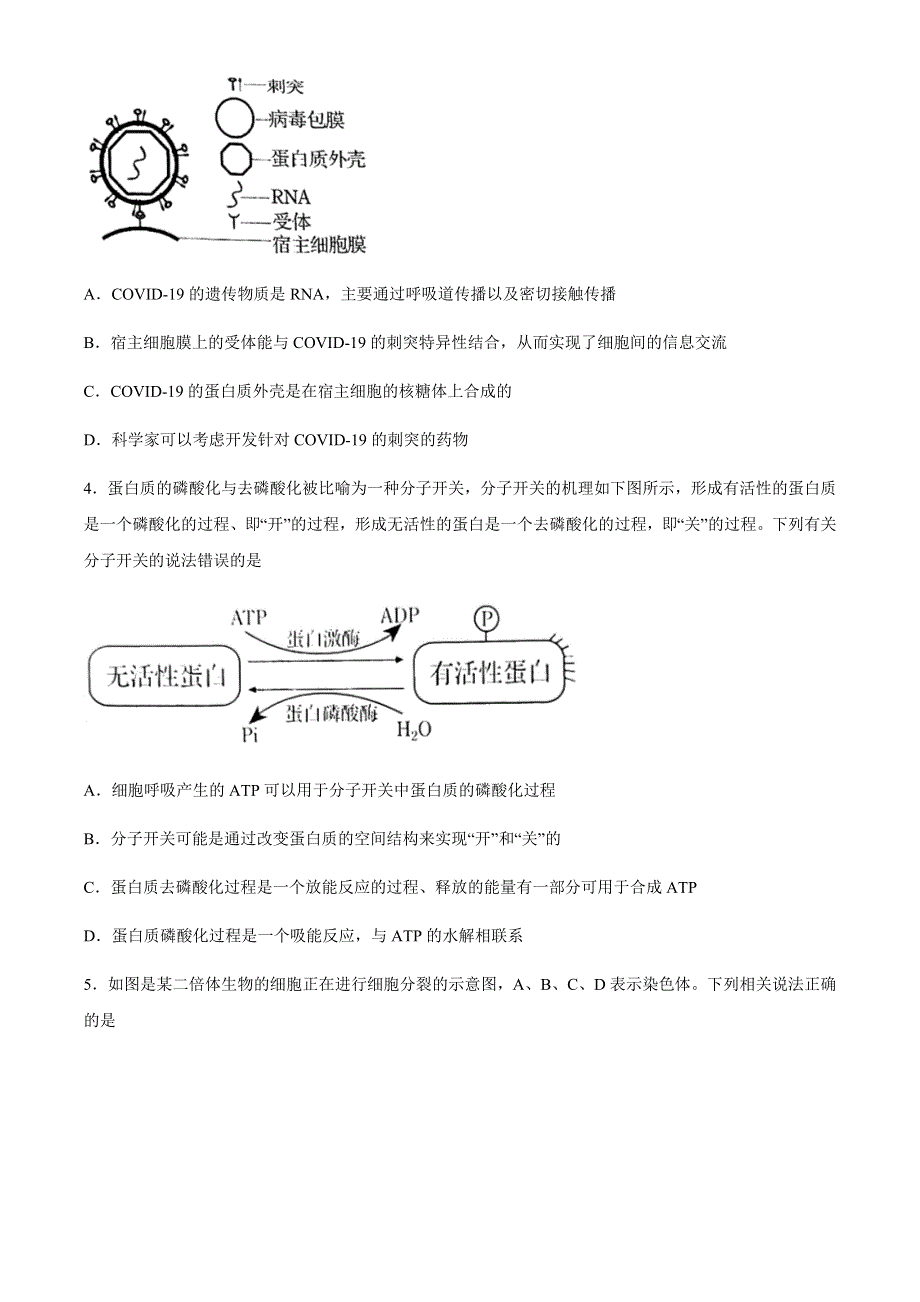 广东省汕头市2021届高三下学期普通高考第一次模拟考试生物试题 WORD版含答案.docx_第2页