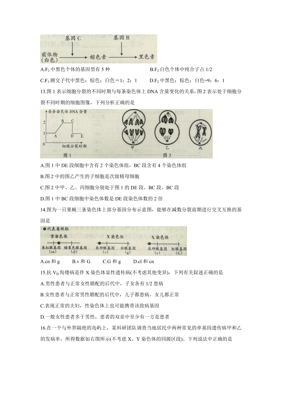 山西省吕梁市2020-2021学年高一下学期期末考试 生物 WORD版含答案BYCHUN.doc_第3页