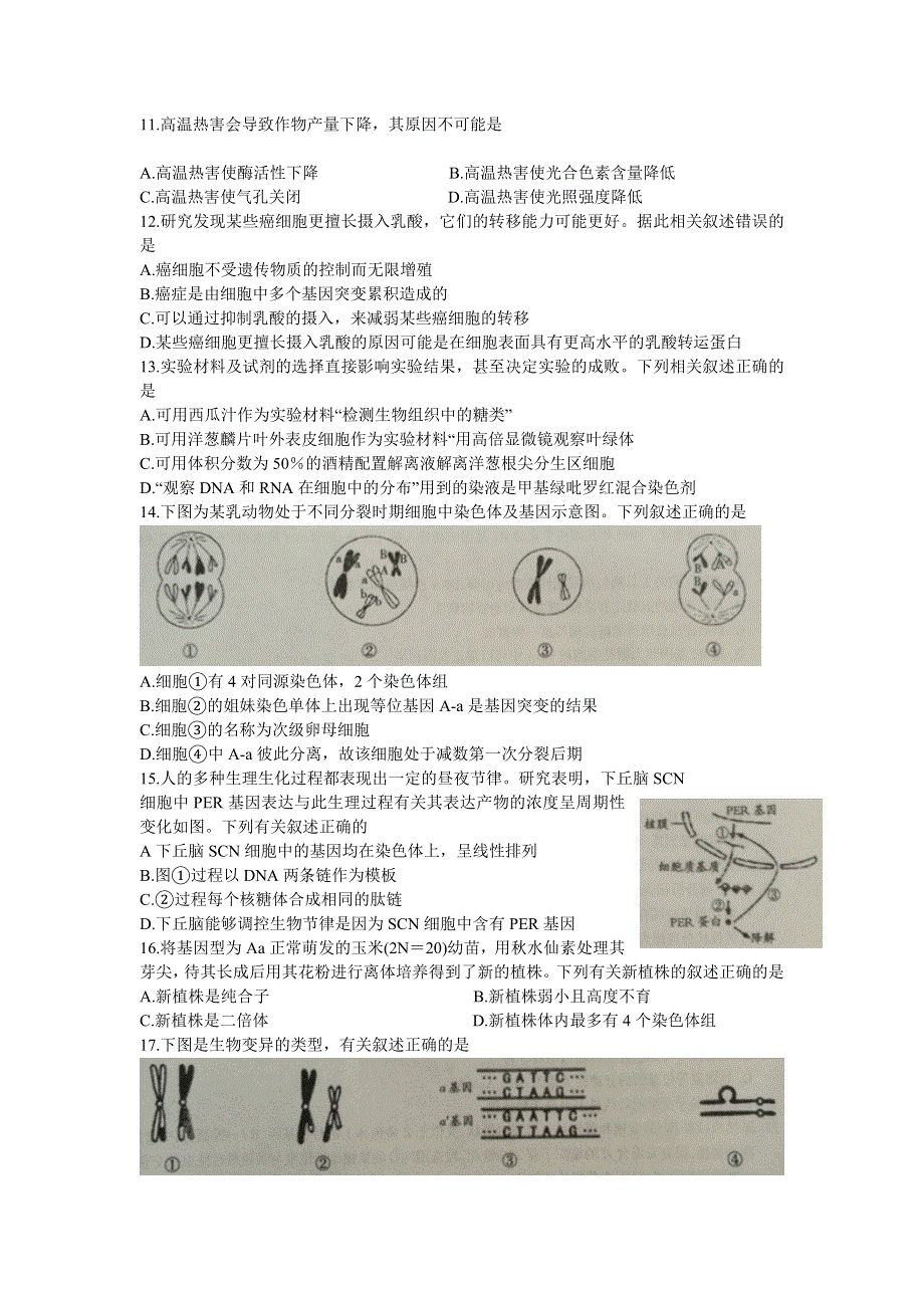 山西省吕梁市2020届高三上学期第一次模拟考试生物试题 WORD版含解析.doc_第3页