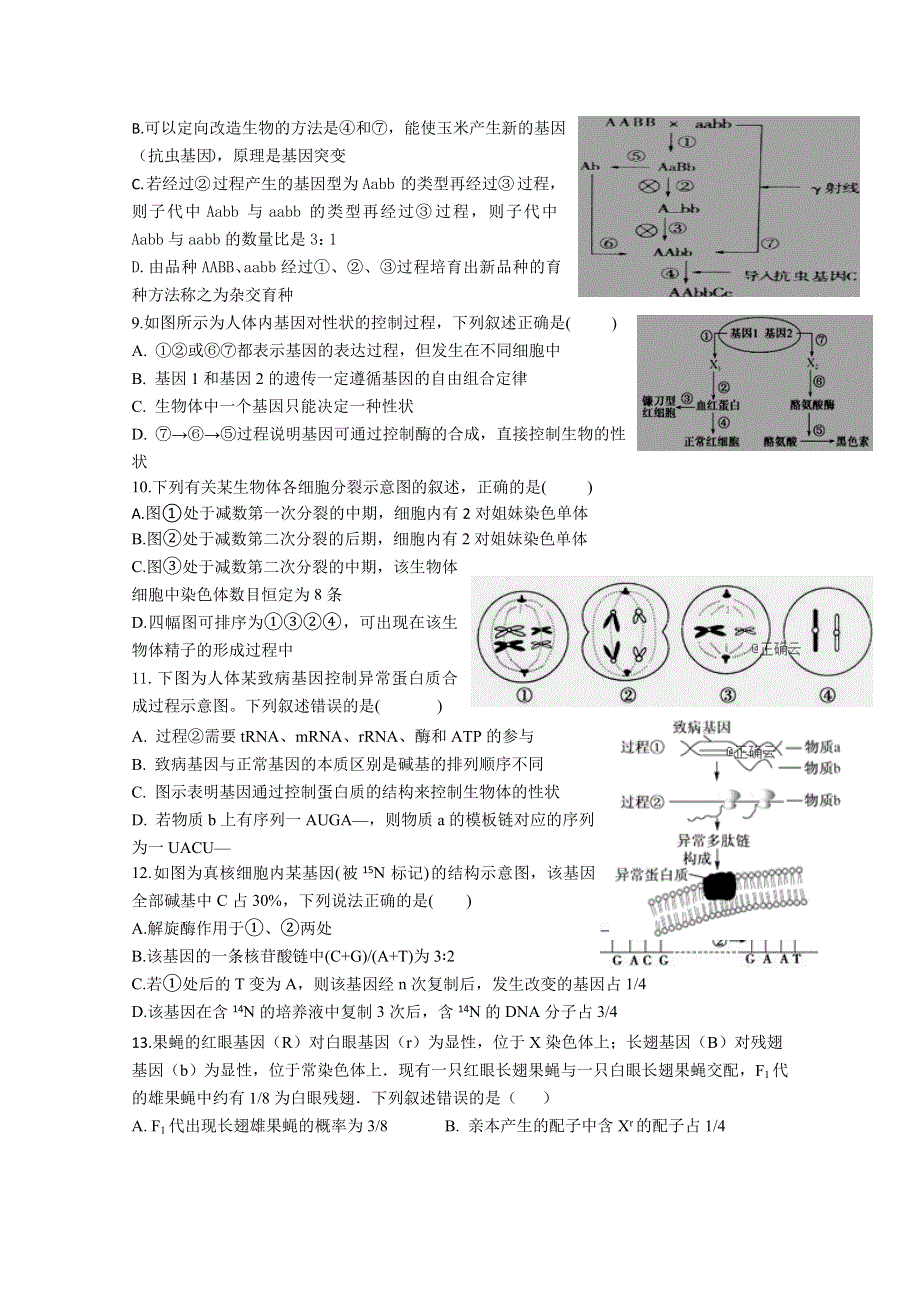 河南省中牟县第一高级中学2018-2019学年高二上学期第十一次双周考生物试卷 WORD版含答案.doc_第2页