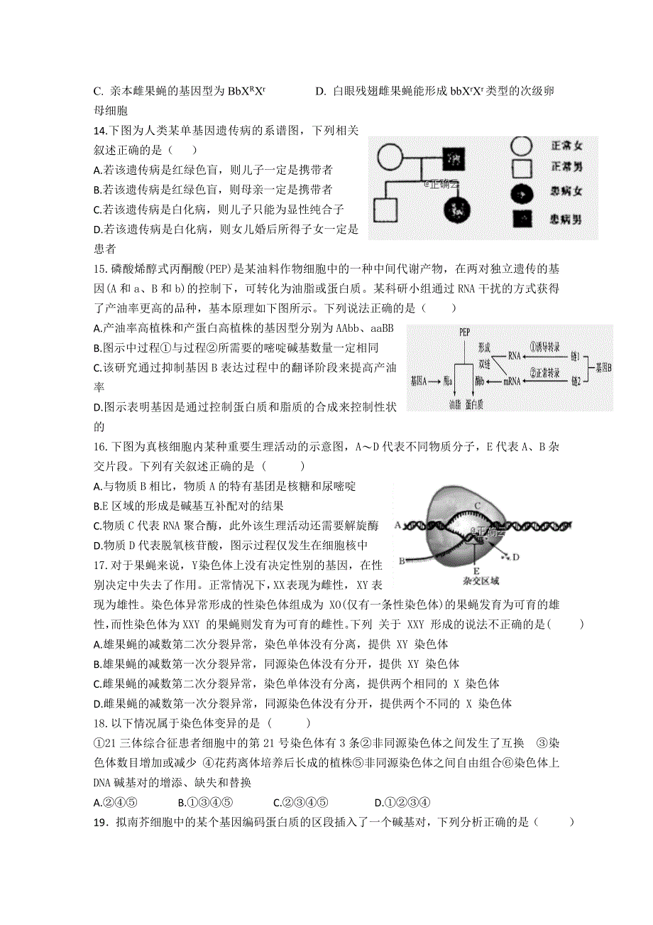 河南省中牟县第一高级中学2018-2019学年高二上学期第十一次双周考生物试卷 WORD版含答案.doc_第3页