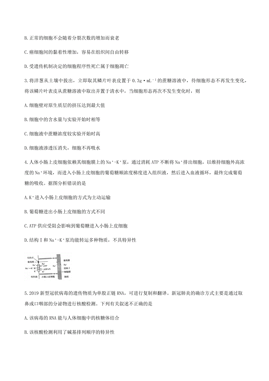 广东省茂名市2021届高三下学期4月第二次综合测试（二模）生物试题 WORD版含答案.docx_第2页