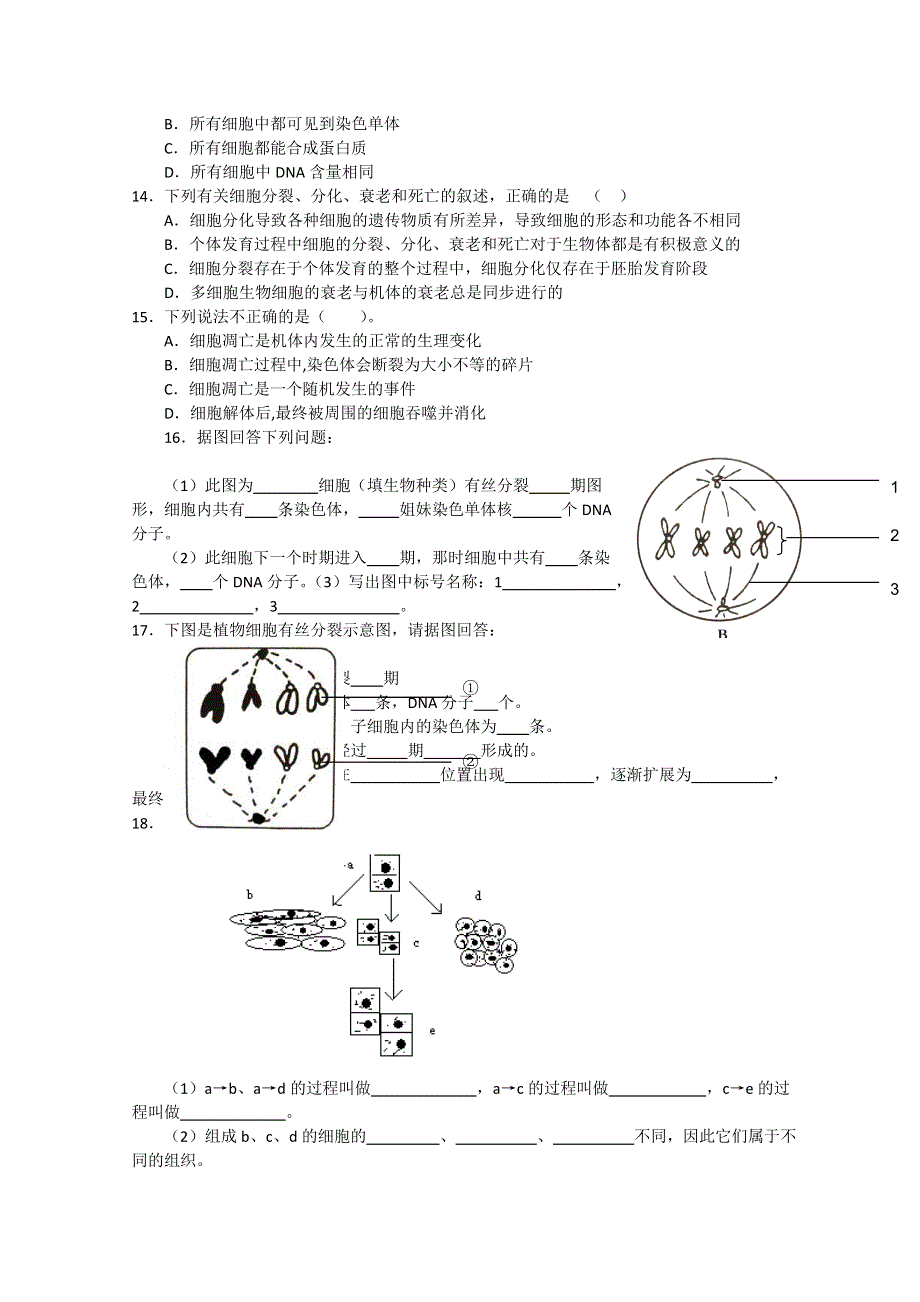 高考生物二轮复习必修1综合练习13.doc_第2页