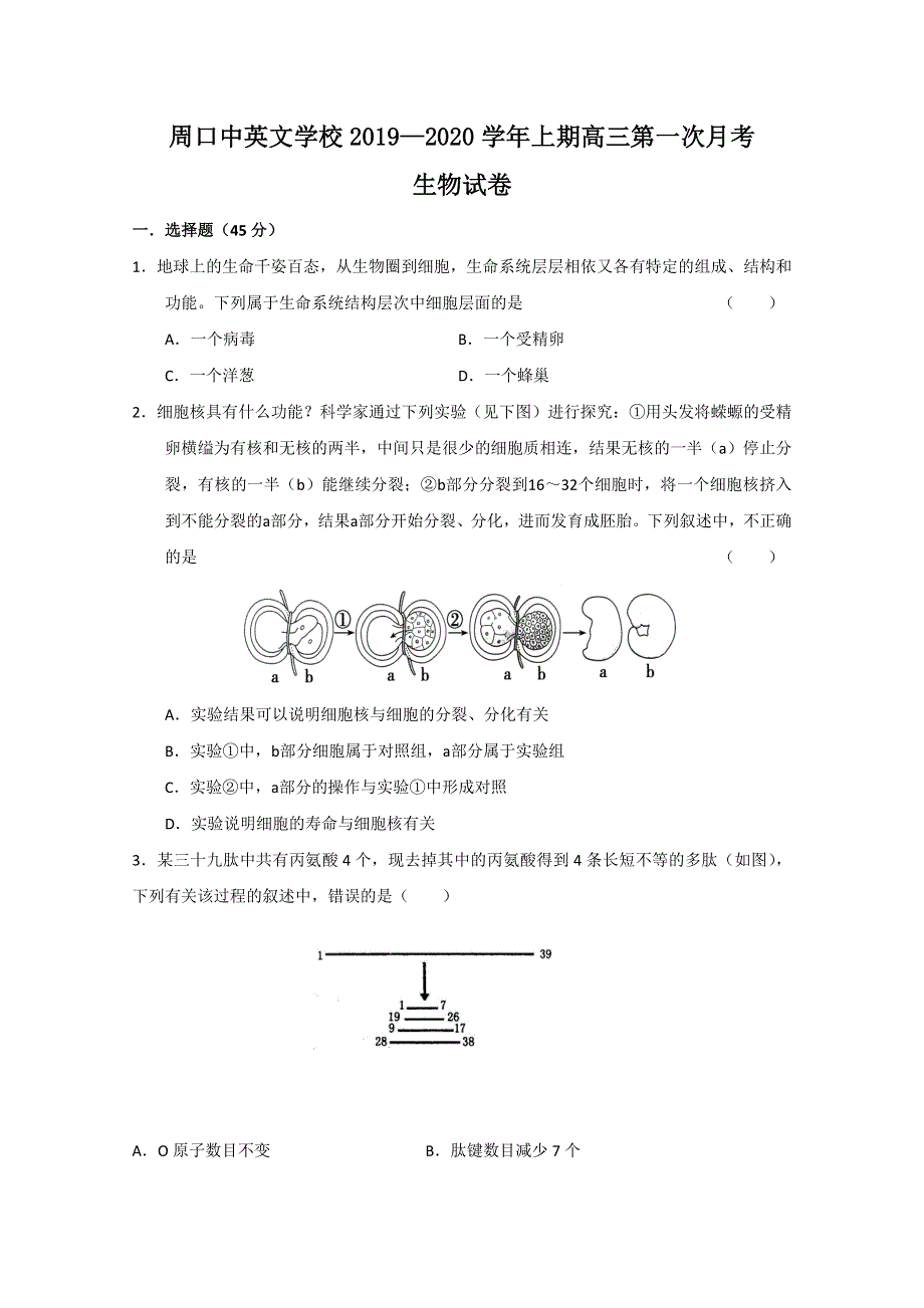 河南省周口中英文学校2020届高三10月月考生物试题 WORD版含答案.doc_第1页