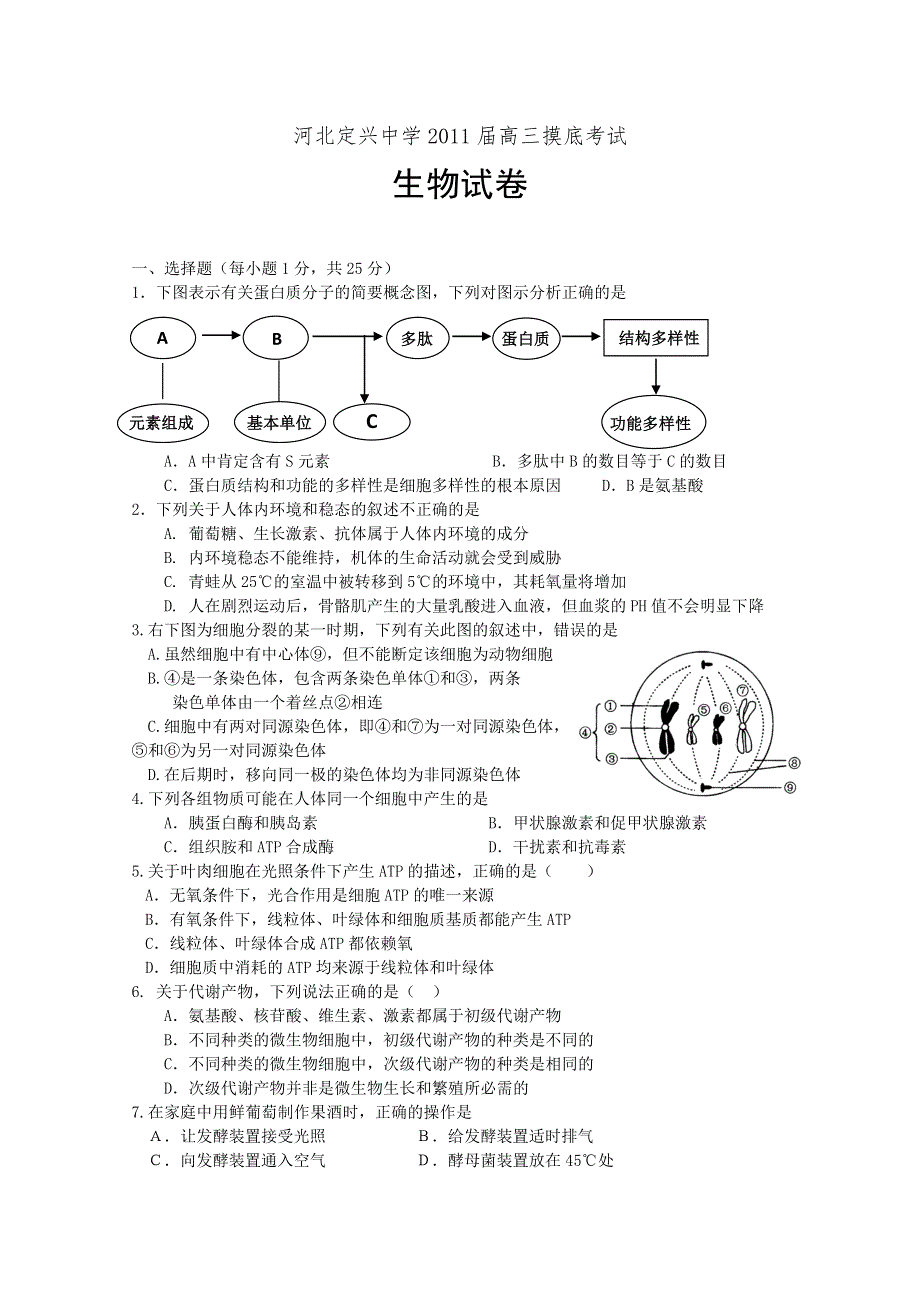 河北省定兴中学2011届高三摸底考试（生物）.doc_第1页