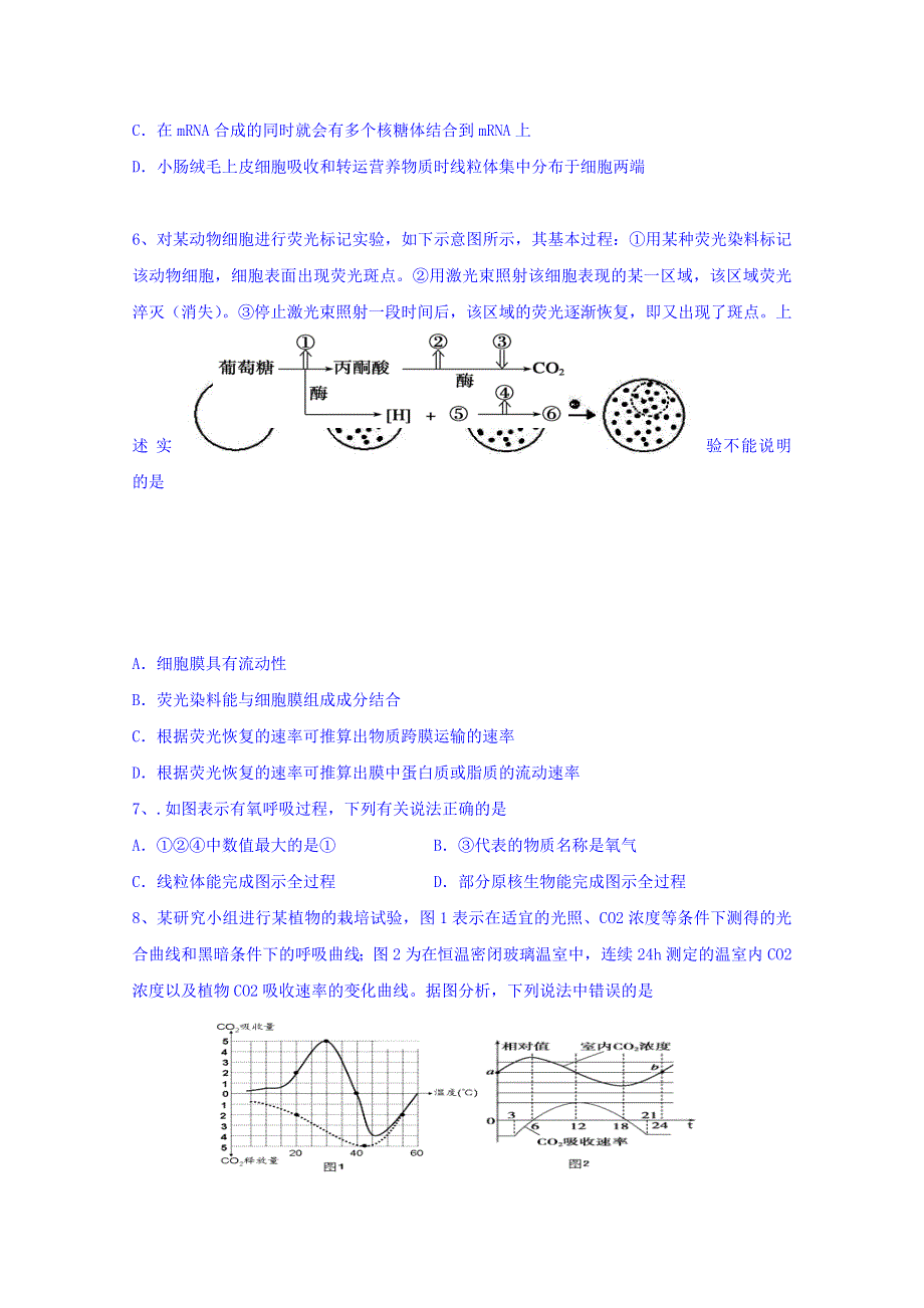 江苏省射阳县第二中学2016届高三上学期第二次学情调研生物试题 WORD版含答案.doc_第2页