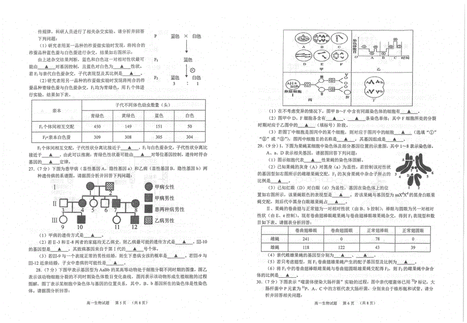 江苏省常熟市2019-2020学年高一下学期期中考试生物试题 PDF版含答案.pdf_第3页