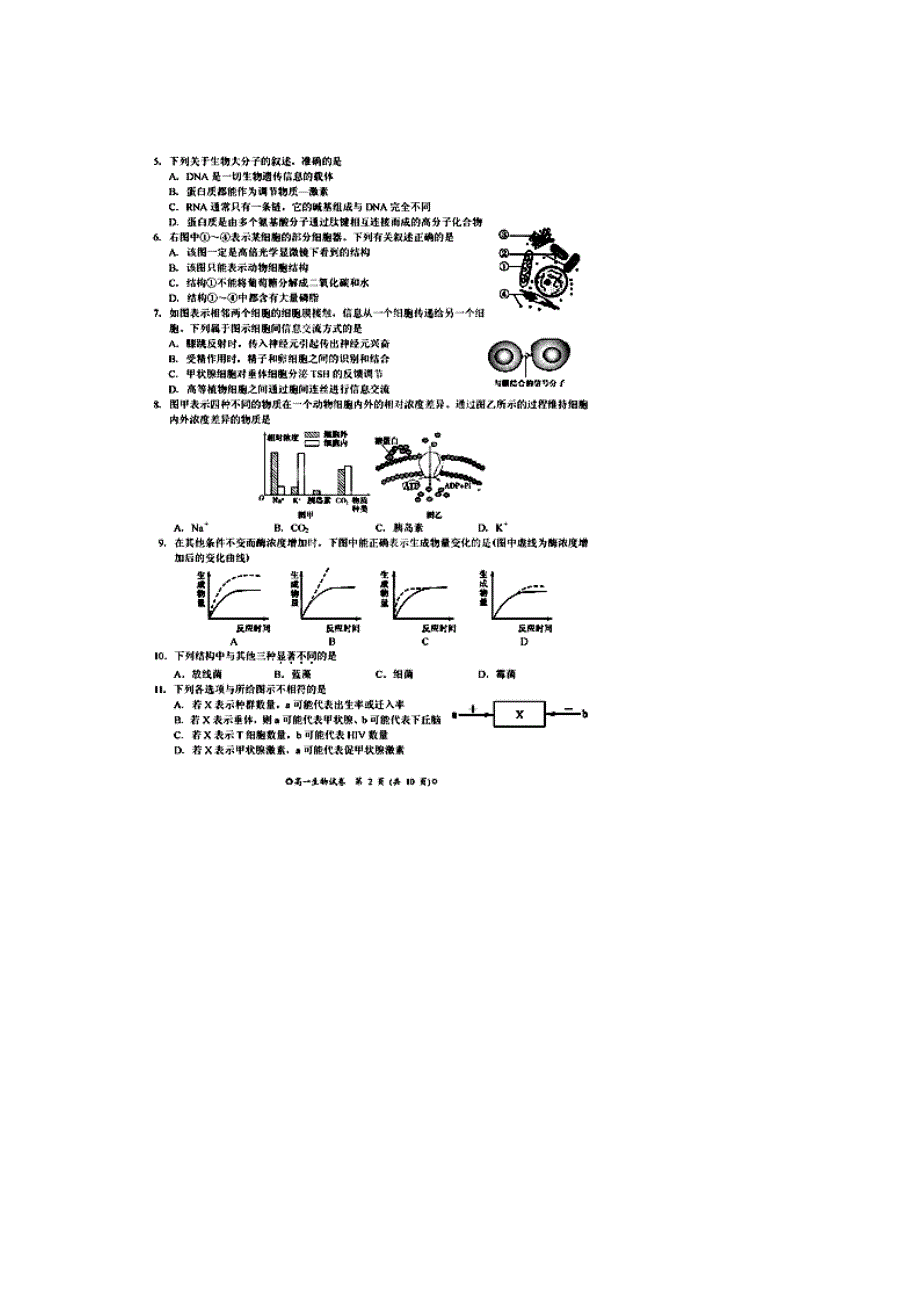 河南省豫西名校2013-2014学年高一下学期第二次联考生物试题 扫描版含答案.doc_第2页