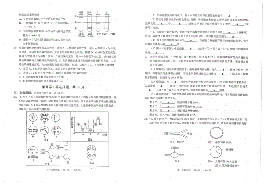 江苏省常熟市2020-2021学年高一下学期期中考试生物试题 扫描版含答案.pdf_第3页