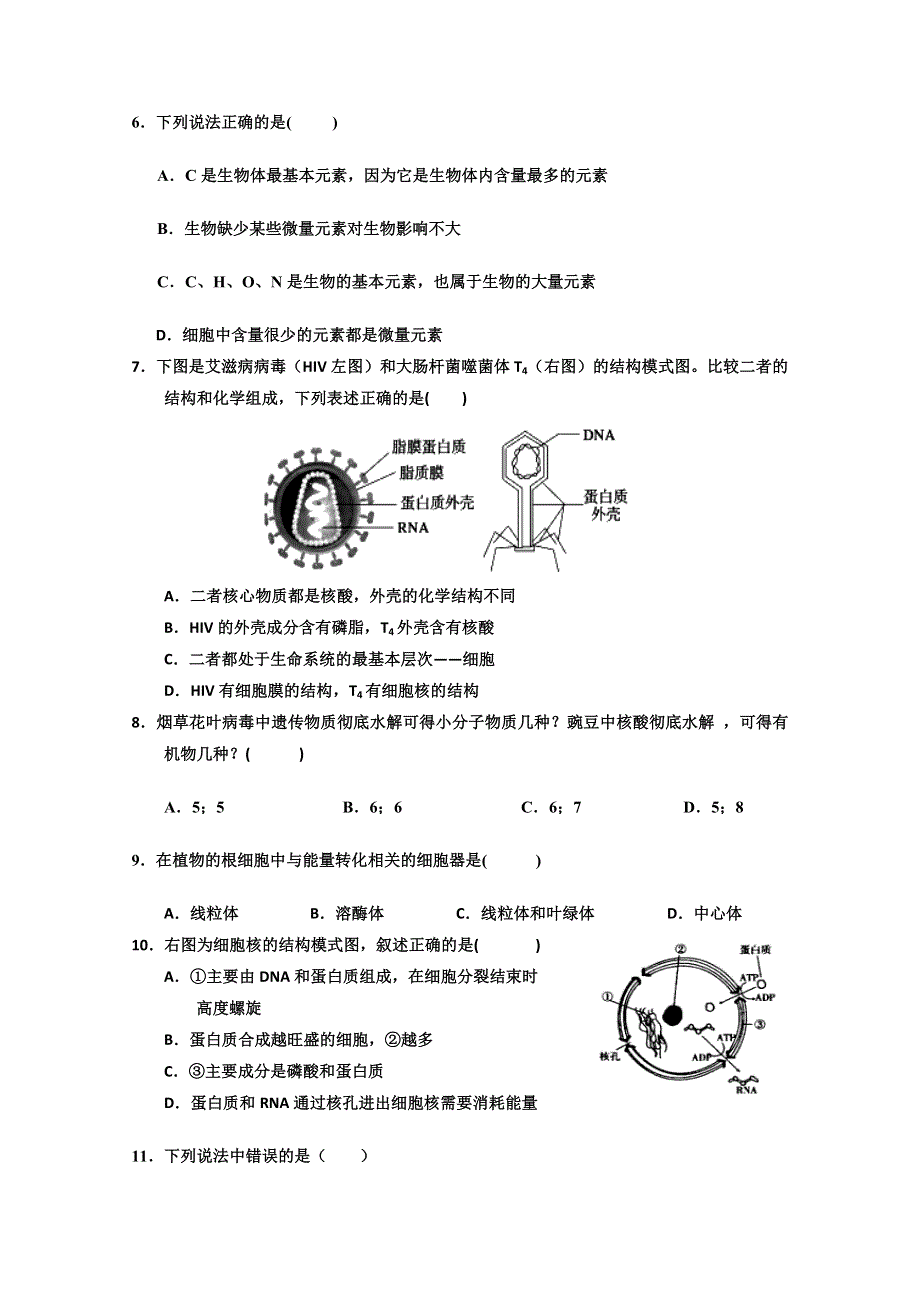 宁夏育才中学学益校区2019-2020学年高二上学期第二次月考生物试题 WORD版含答案.doc_第2页