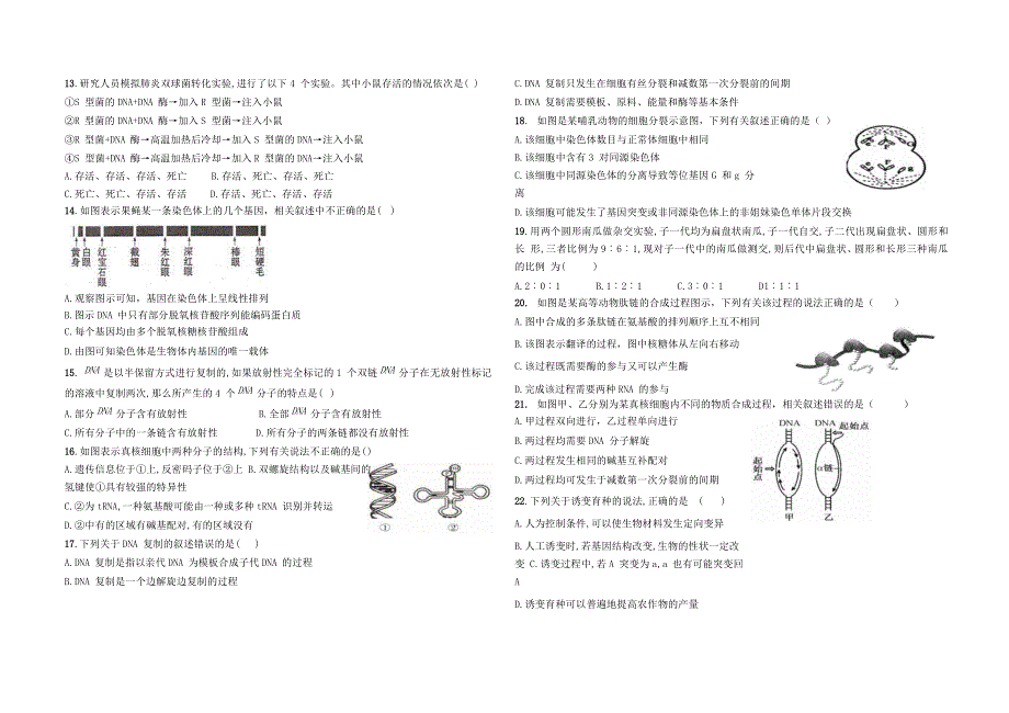 宁夏贺兰县景博中学2019-2020学年高一生物下学期第三次月考试题.doc_第2页