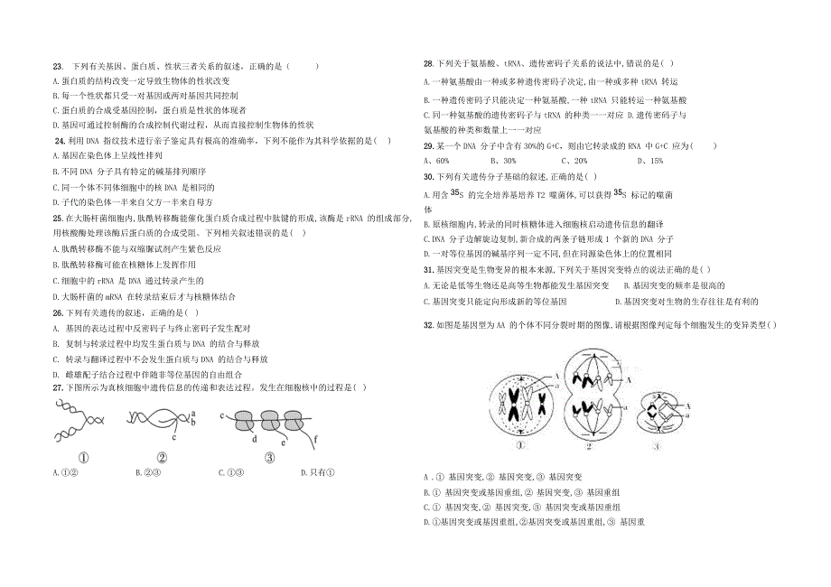 宁夏贺兰县景博中学2019-2020学年高一生物下学期第三次月考试题.doc_第3页