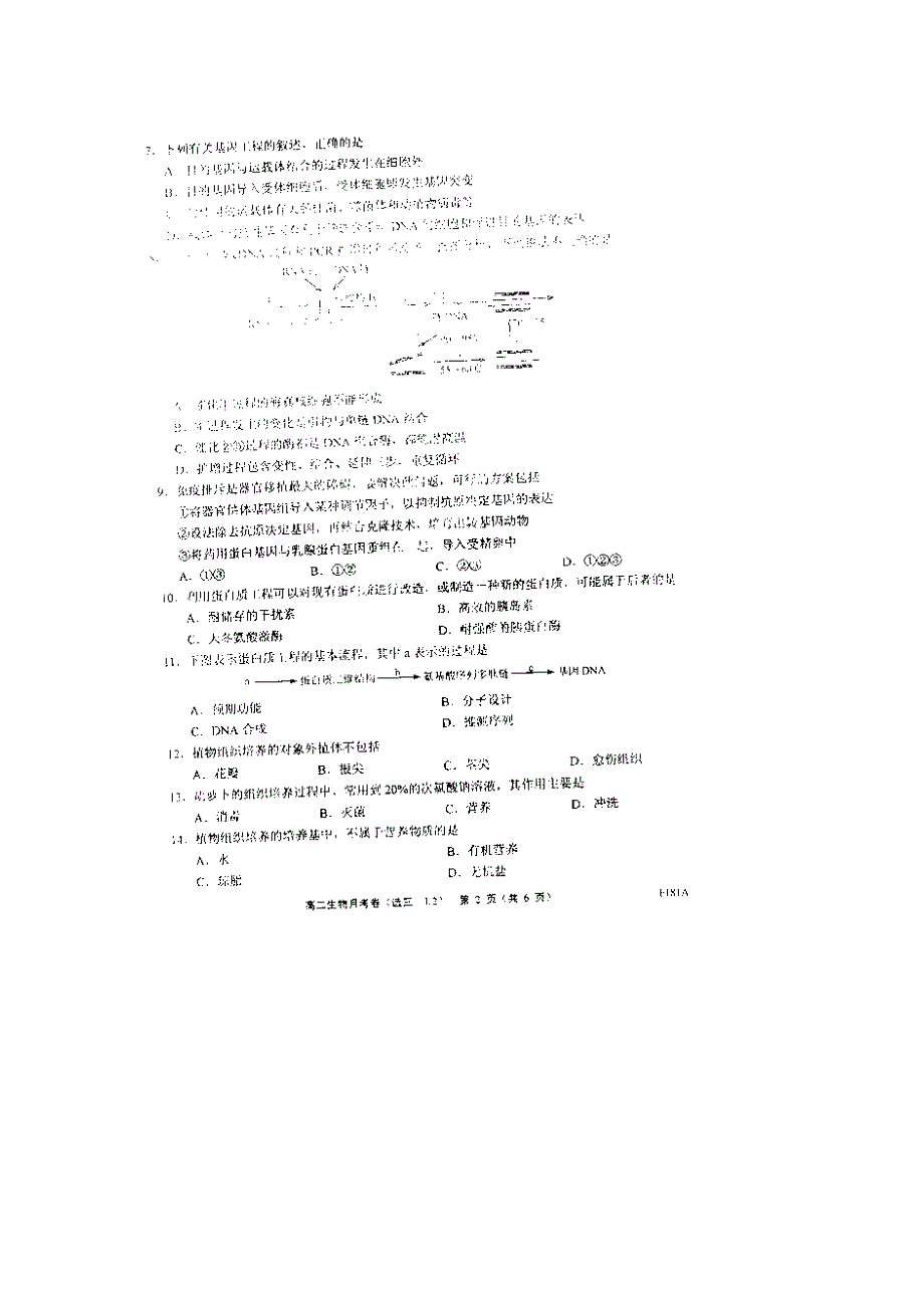 河北省故城县高级中学2014-2015学年高二上学期期末考试生物试题 扫描版含答案.doc_第2页