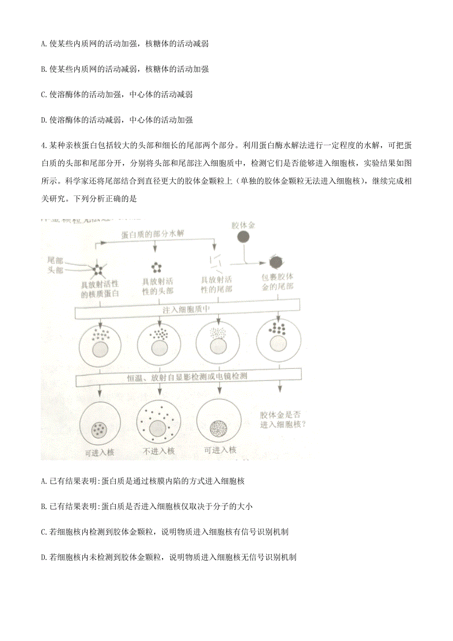 湖北省2021届高三生物下学期4月调研模拟考试试题.doc_第2页