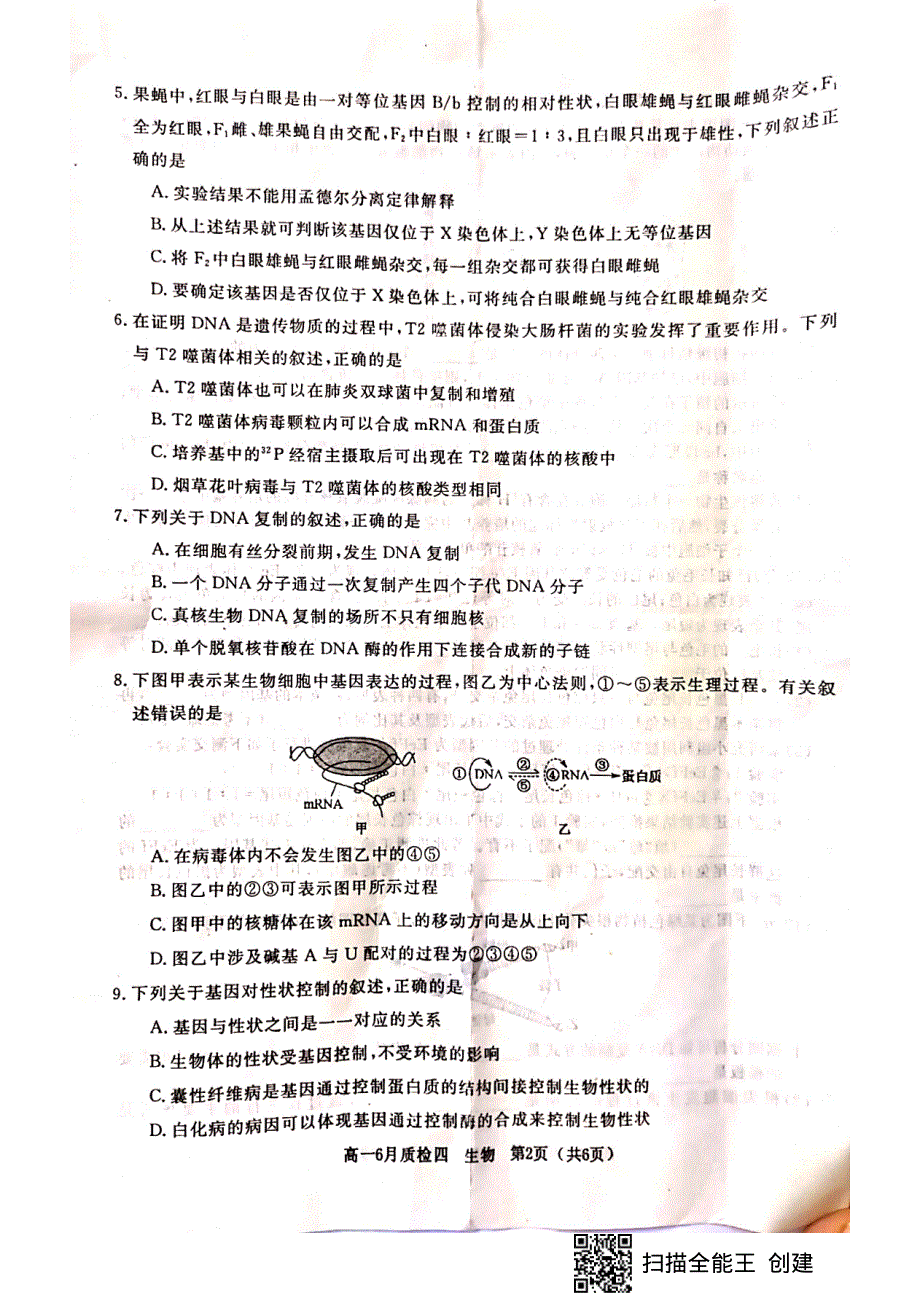 河北省曲阳县第一中学2020-2021学年高一生物下学期第四次检测（6月月考）试题（PDF）.pdf_第2页