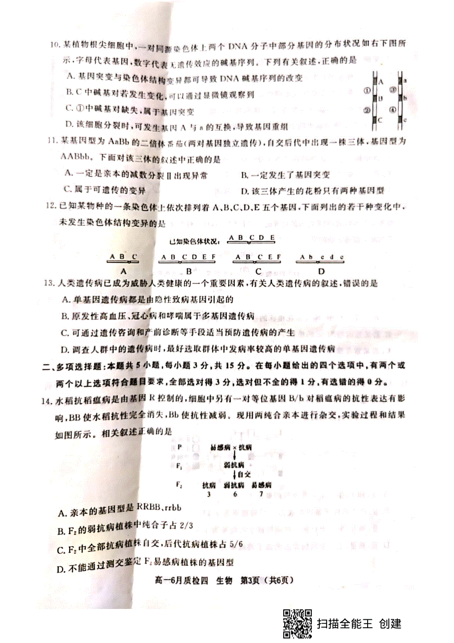 河北省曲阳县第一中学2020-2021学年高一生物下学期第四次检测（6月月考）试题（PDF）.pdf_第3页