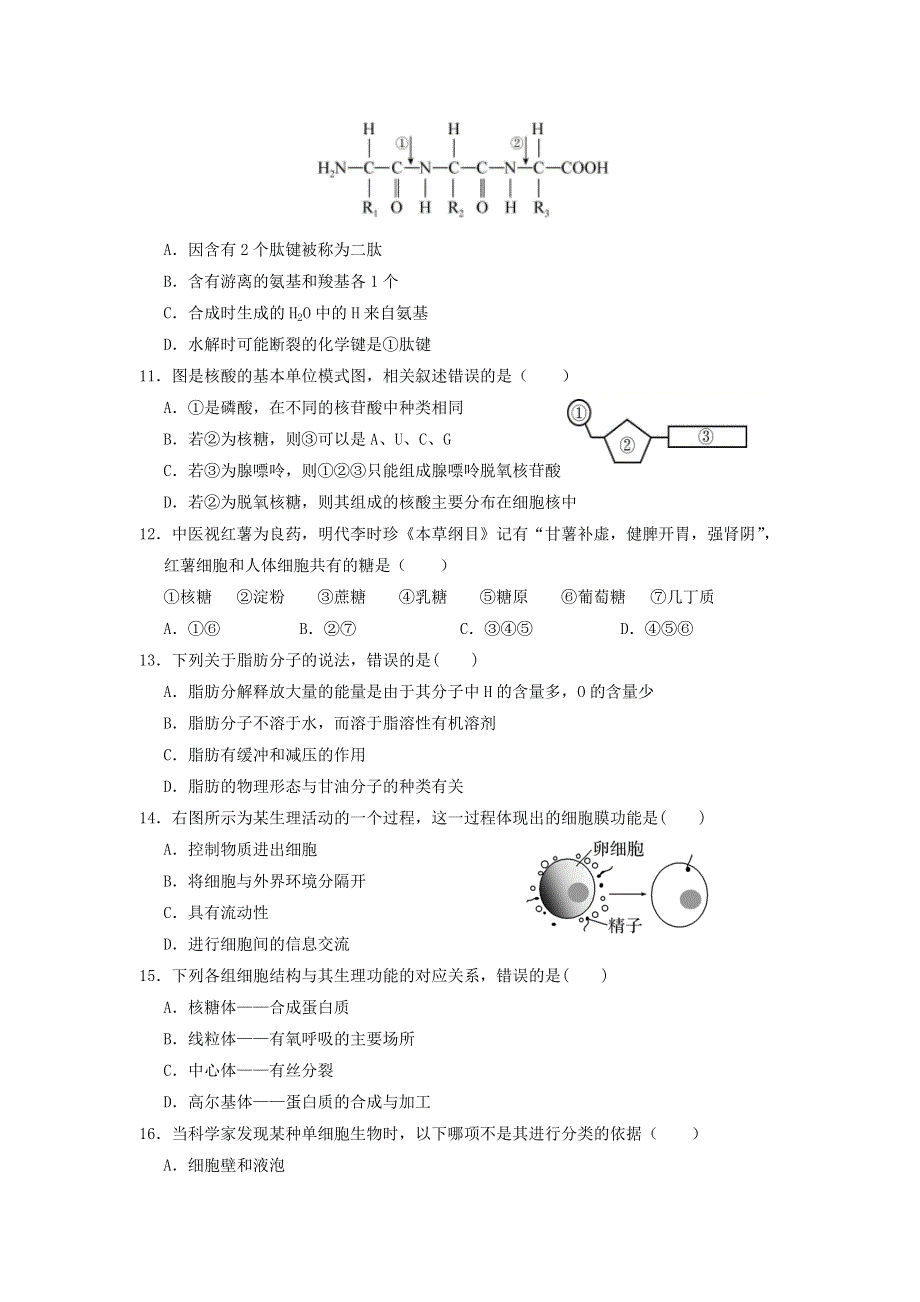 河北省易县中学2020-2021学年高一生物12月月考试题.doc_第3页