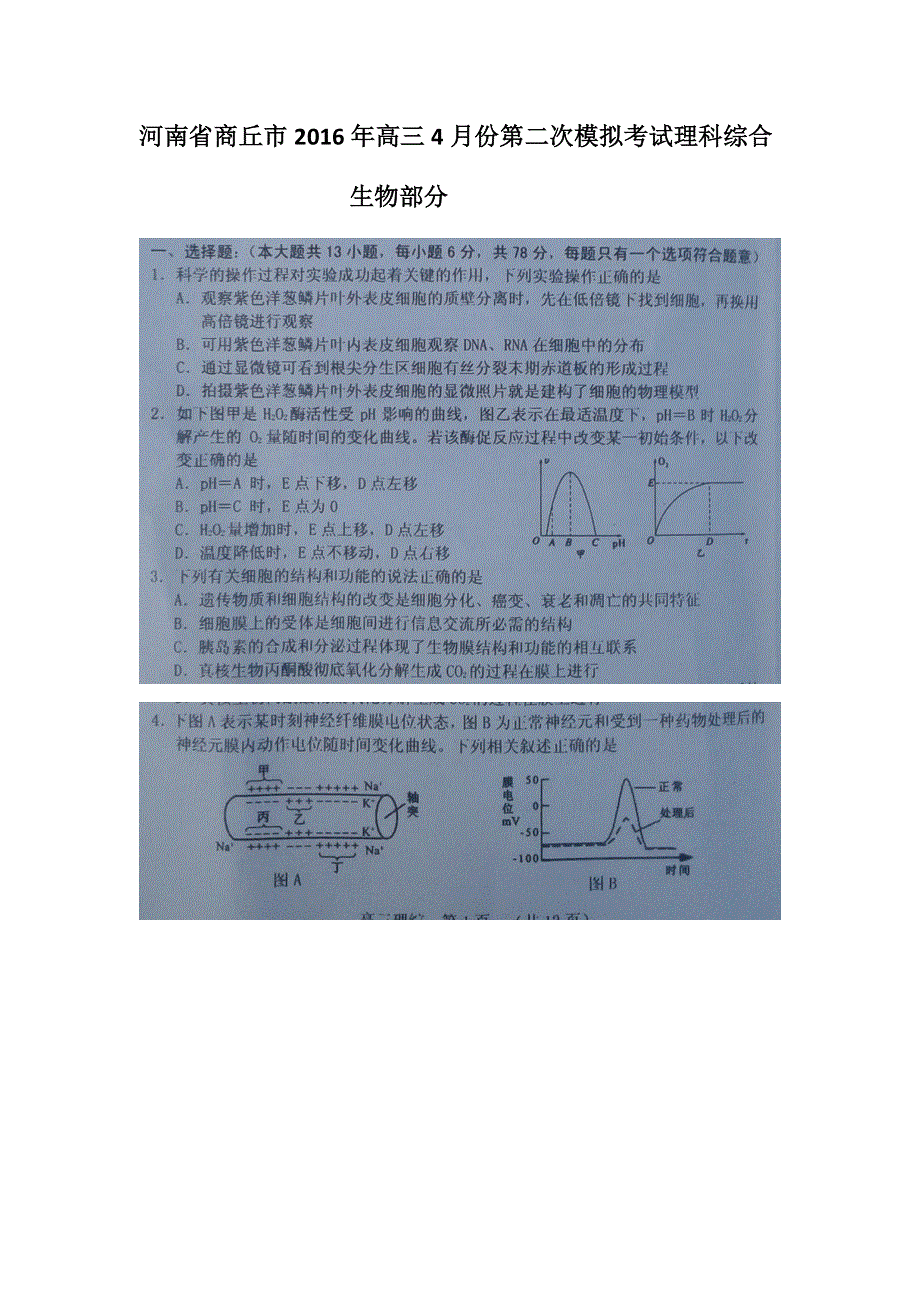 河南省商丘市2016届高三4月份第二次模拟考试理科综合—生物试卷 扫描版含答案.docx_第1页