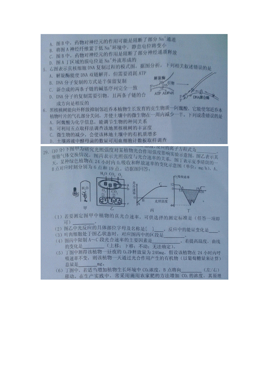 河南省商丘市2016届高三4月份第二次模拟考试理科综合—生物试卷 扫描版含答案.docx_第2页