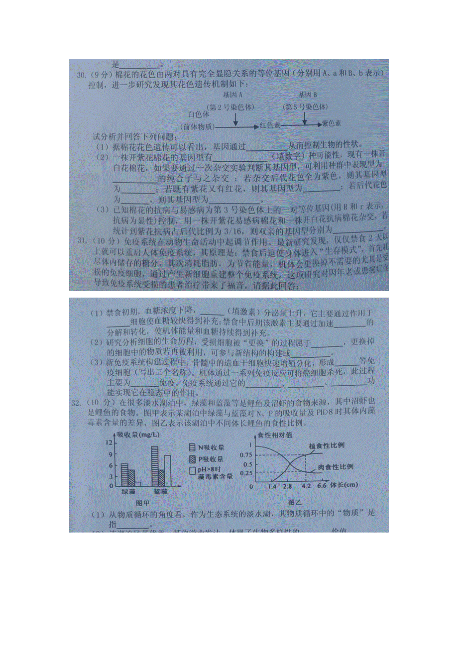 河南省商丘市2016届高三4月份第二次模拟考试理科综合—生物试卷 扫描版含答案.docx_第3页