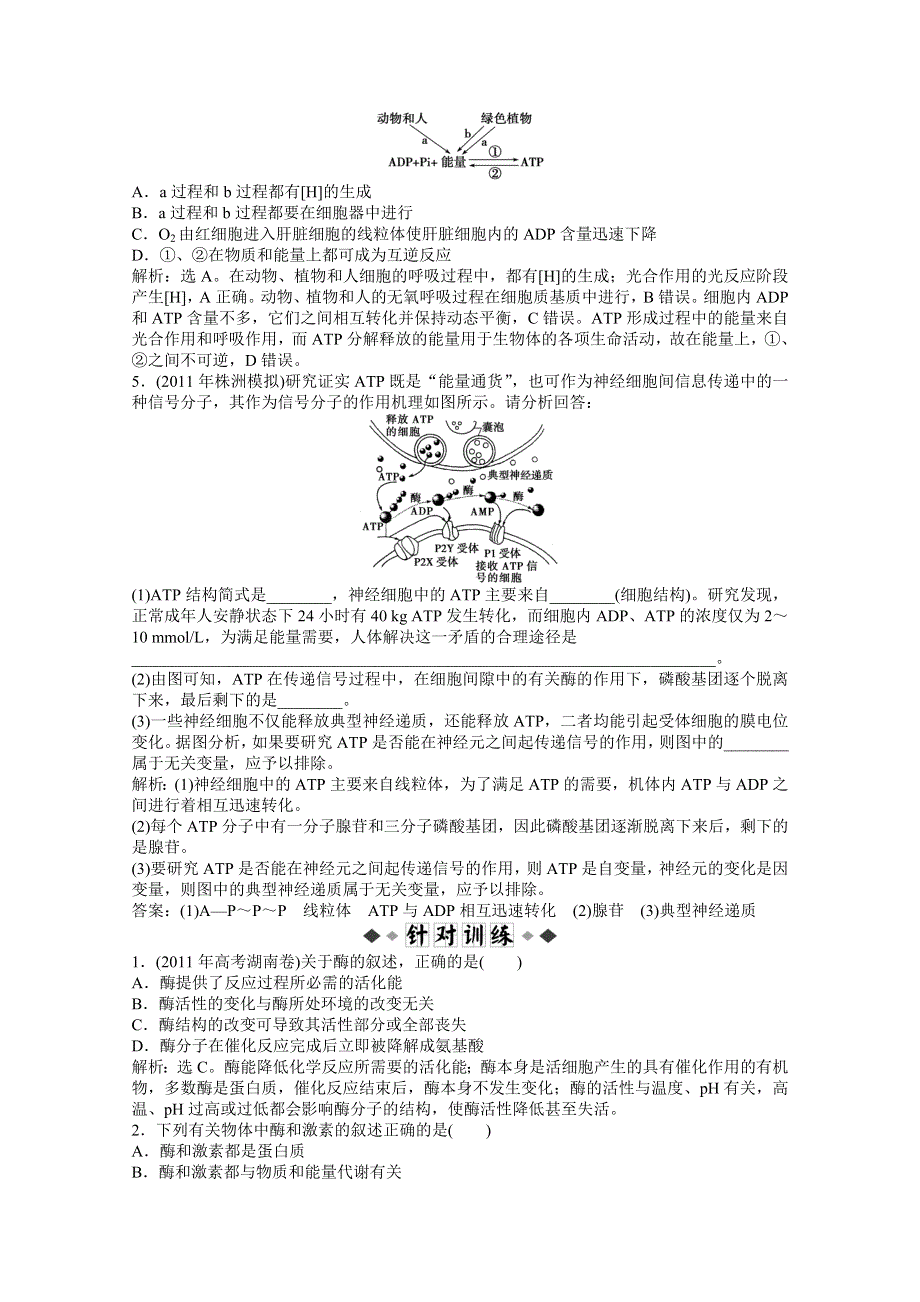 2012高考生物二轮复习试题：第一部分专题二第1讲知能优化训练.doc_第2页