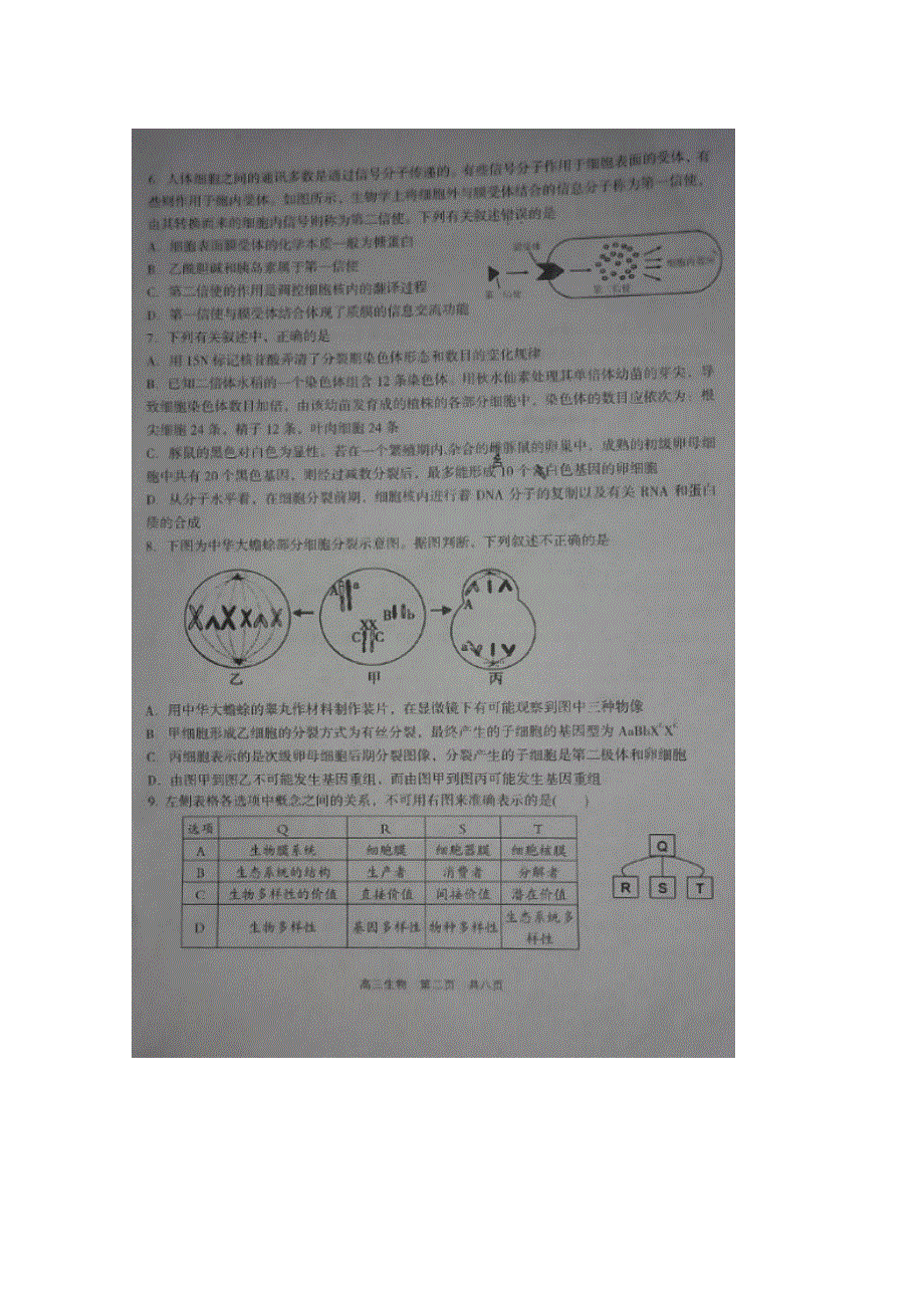 山西省孝义市2016届高三下学期高考考前过目题理综试题 扫描版含答案.doc_第2页