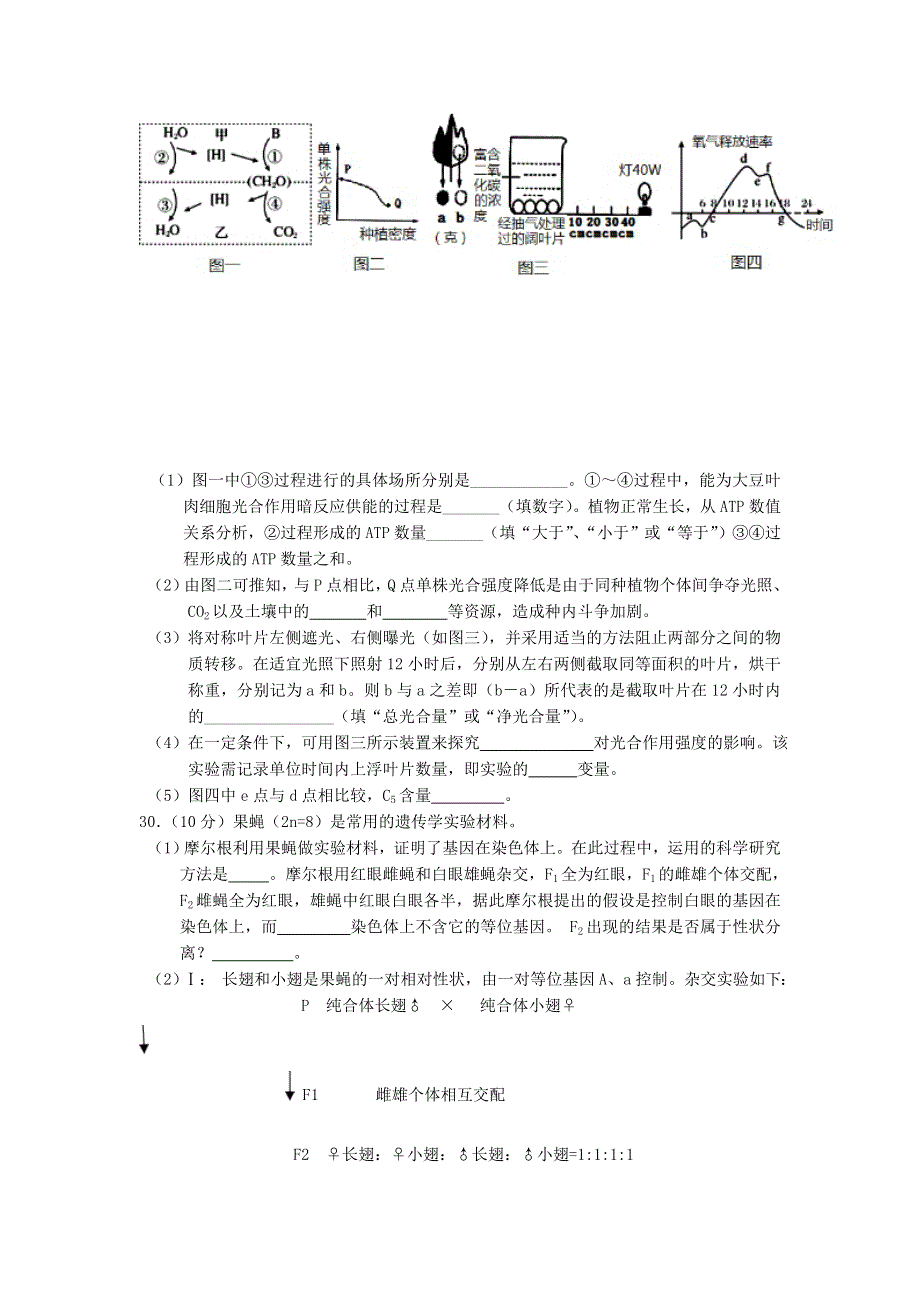 河北省张家口市2016年高考考前模拟生物试题 WORD版含答案.doc_第3页